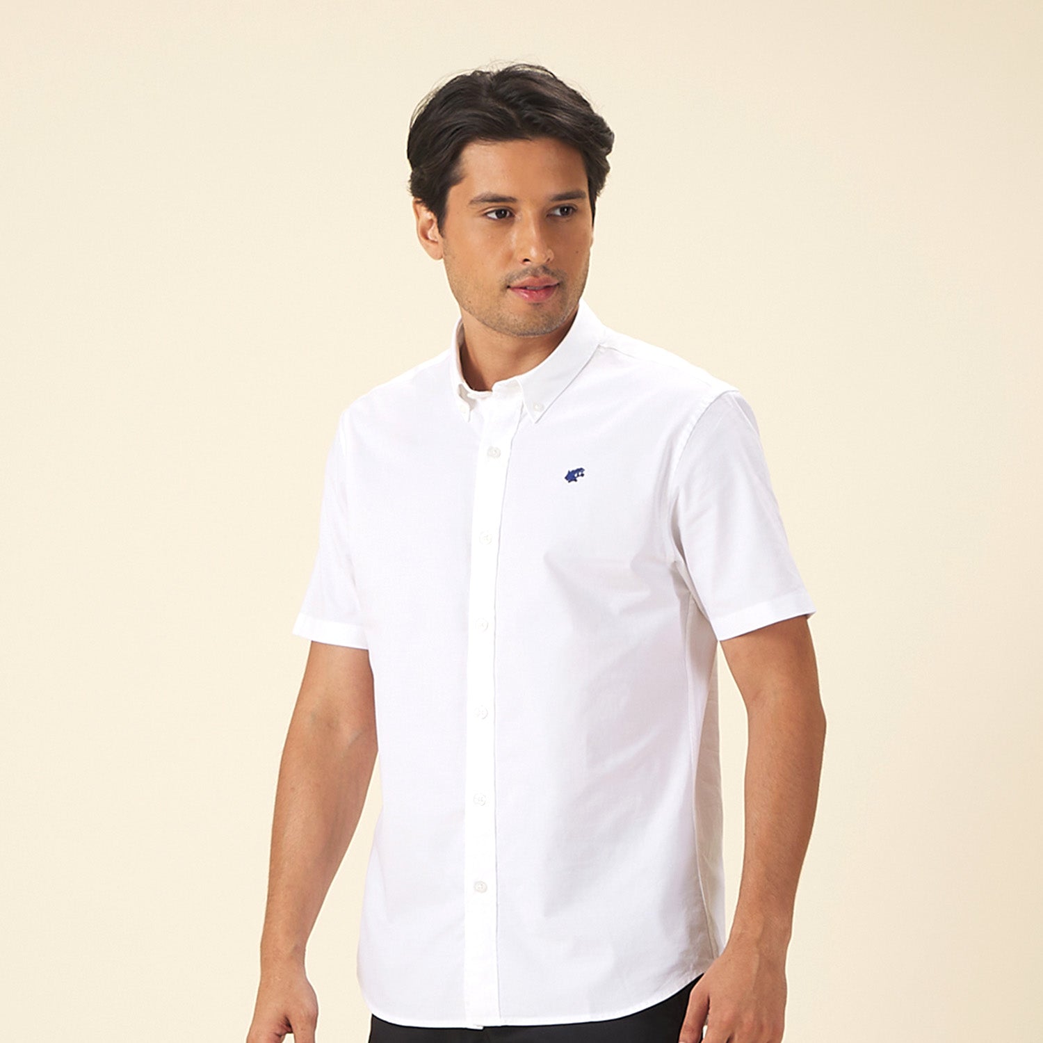 GIORDANO Men's Frog Short Sleeves Oxford Shirt (01045248)