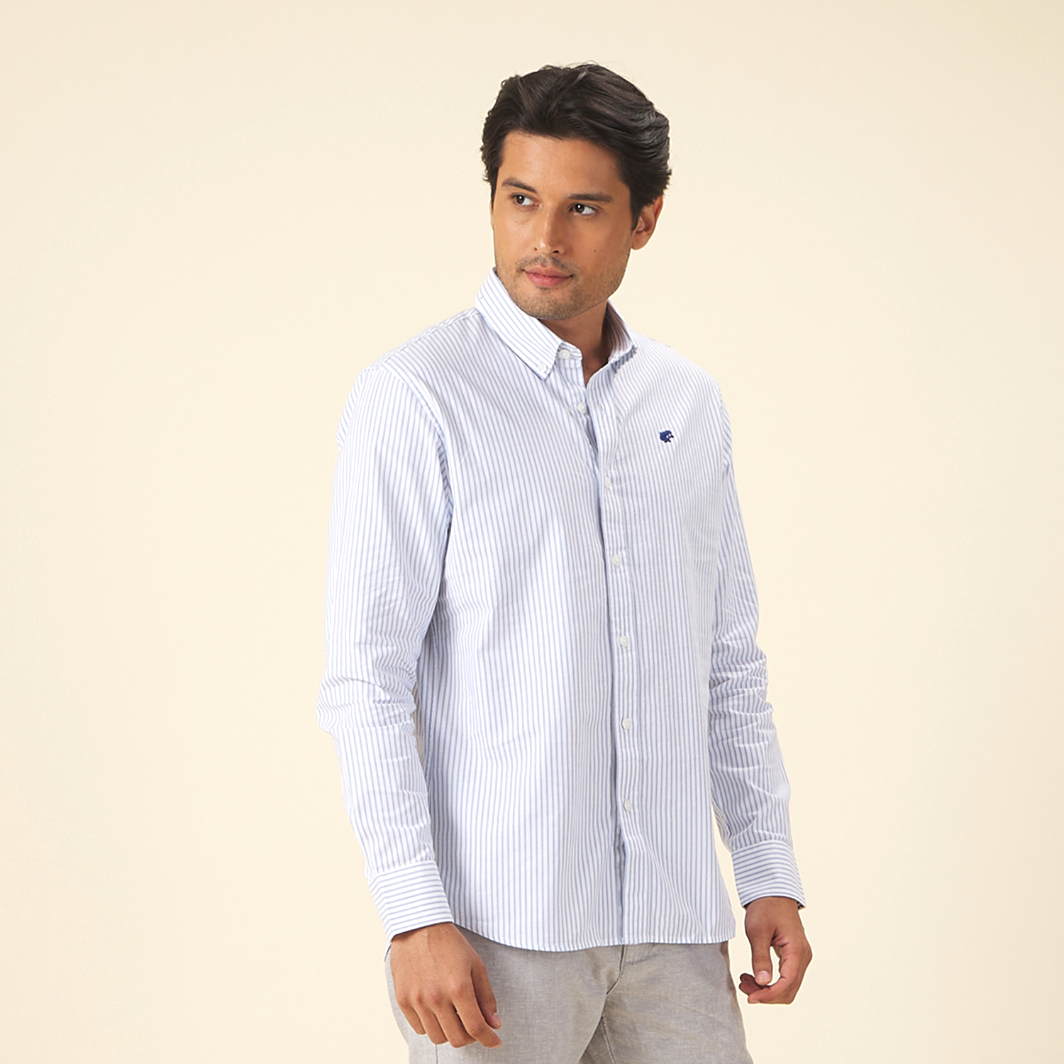 GIORDANO Men's Frog Long Sleeves Oxford Shirt  (01045027)