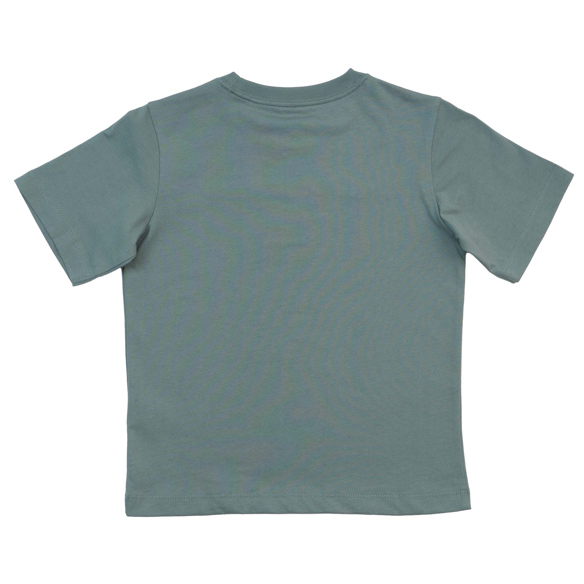 GIORDANO Junior Lion Logo Tee (03085296)