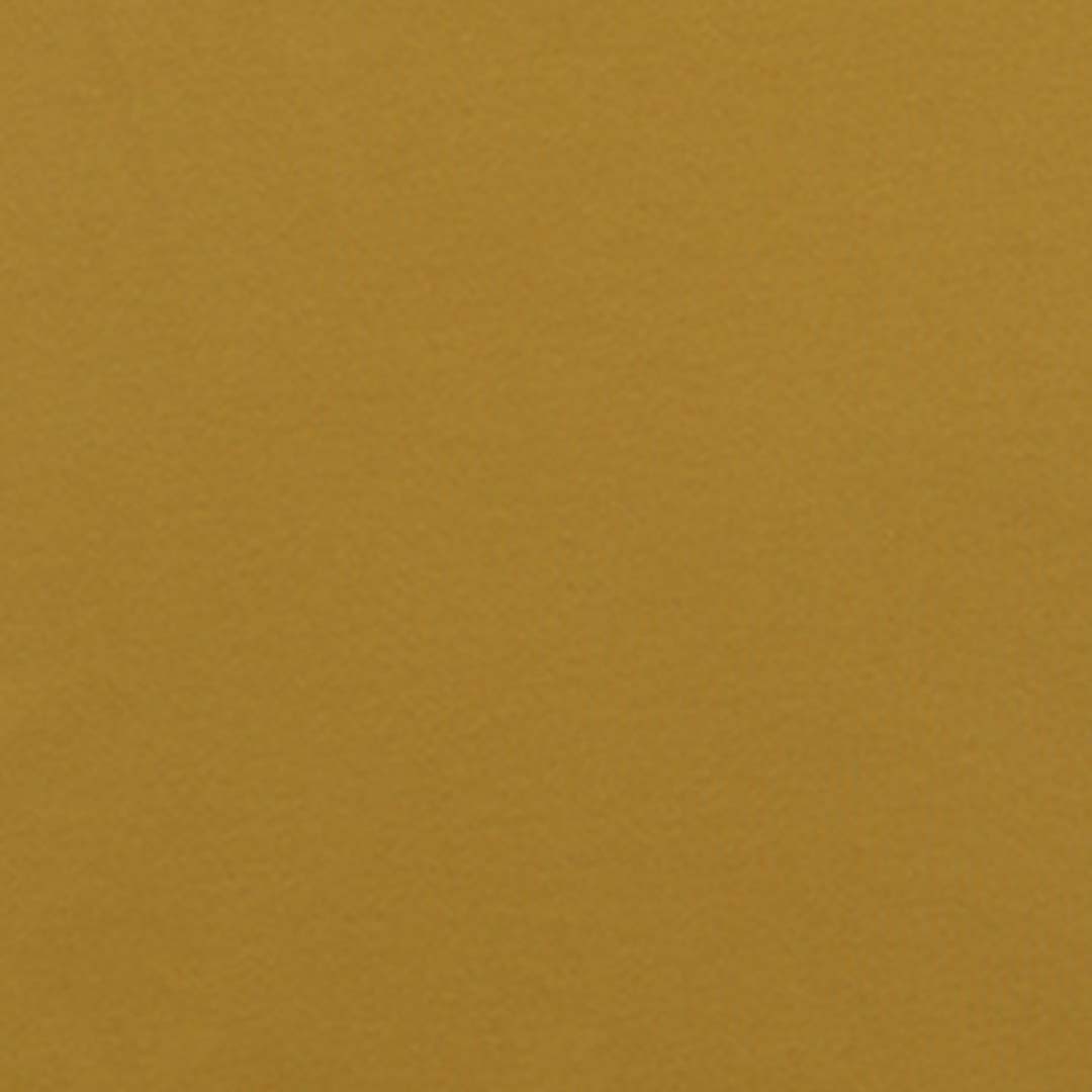 GIORDANO Men's 3D Lion Polo (01015222)